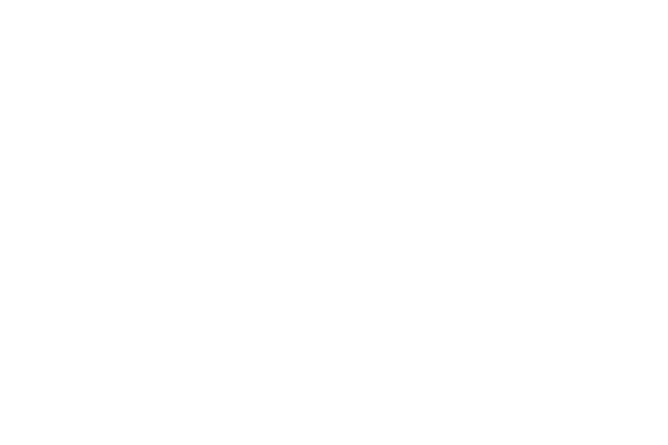 Frontline Partners Logo